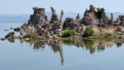 (2017-07-03-041) USA - Mono Lake